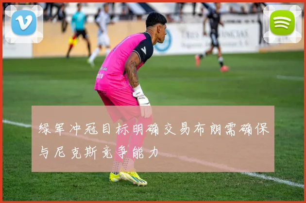 绿军冲冠目标明确交易布朗需确保与尼克斯竞争能力