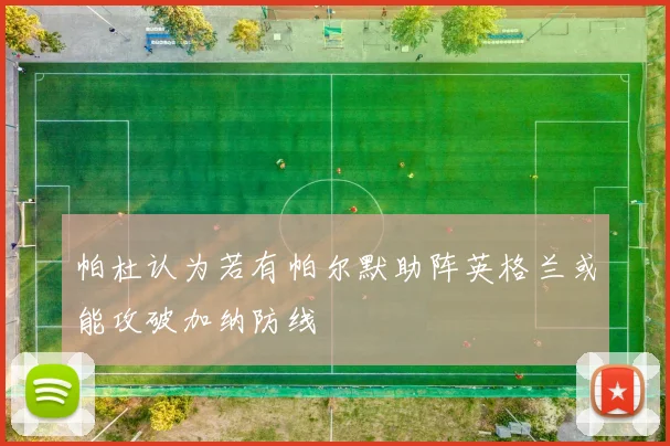 帕杜认为若有帕尔默助阵英格兰或能攻破加纳防线